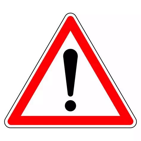731105183_1486056773274079_1063419173026404550_n