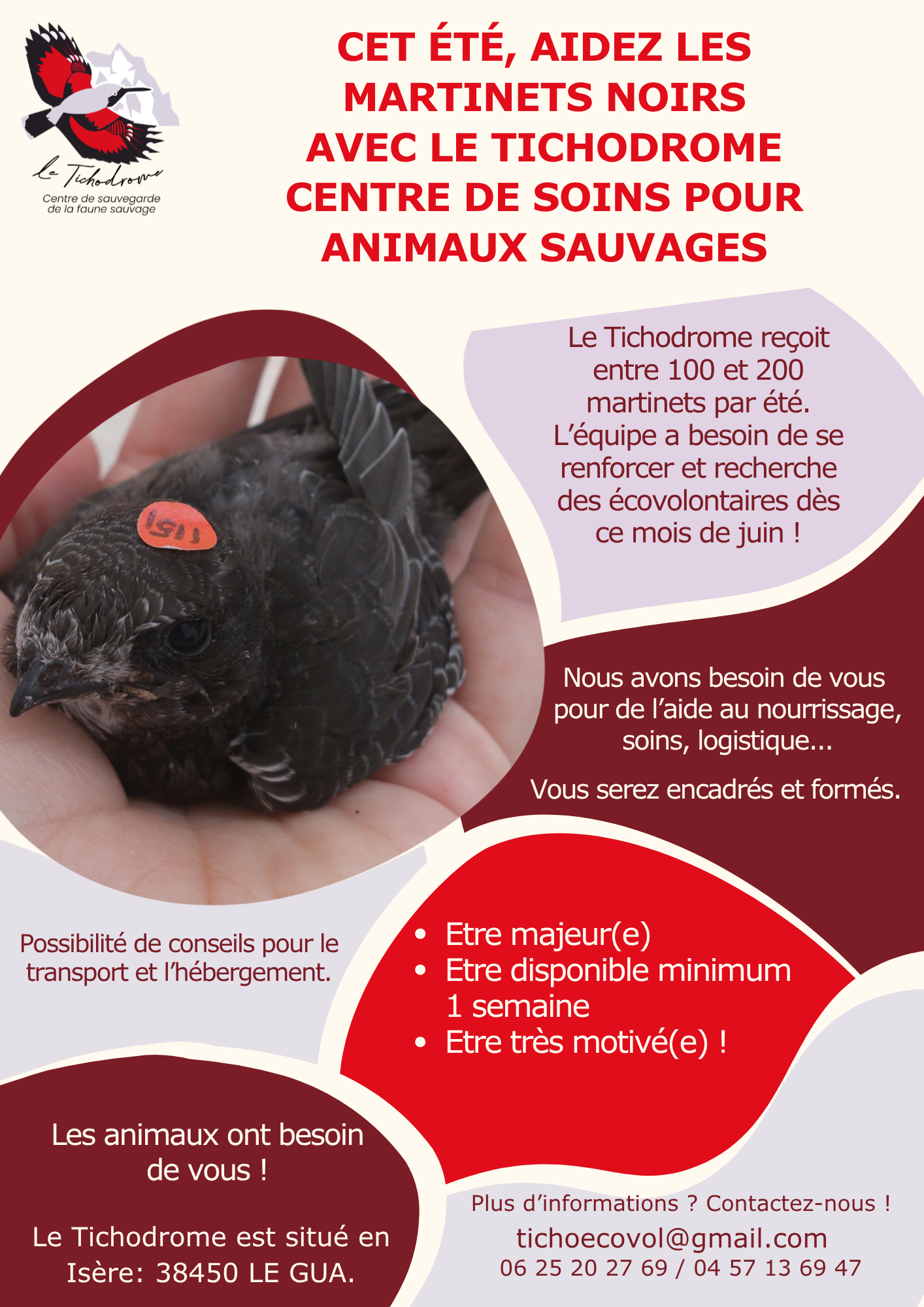 recherche EV martinets 2026
